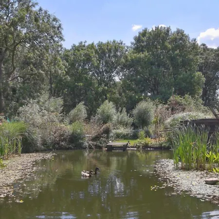 Gæstehus Reijgershof Art Deco With Private Bathroom *