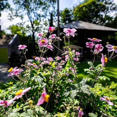 Reijgershof Art Deco With Private Bathroom Gæstehus Amsterdam